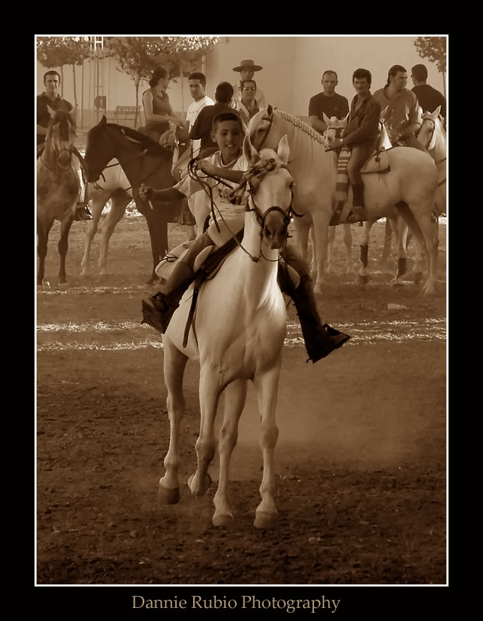 Carreras de Cinta