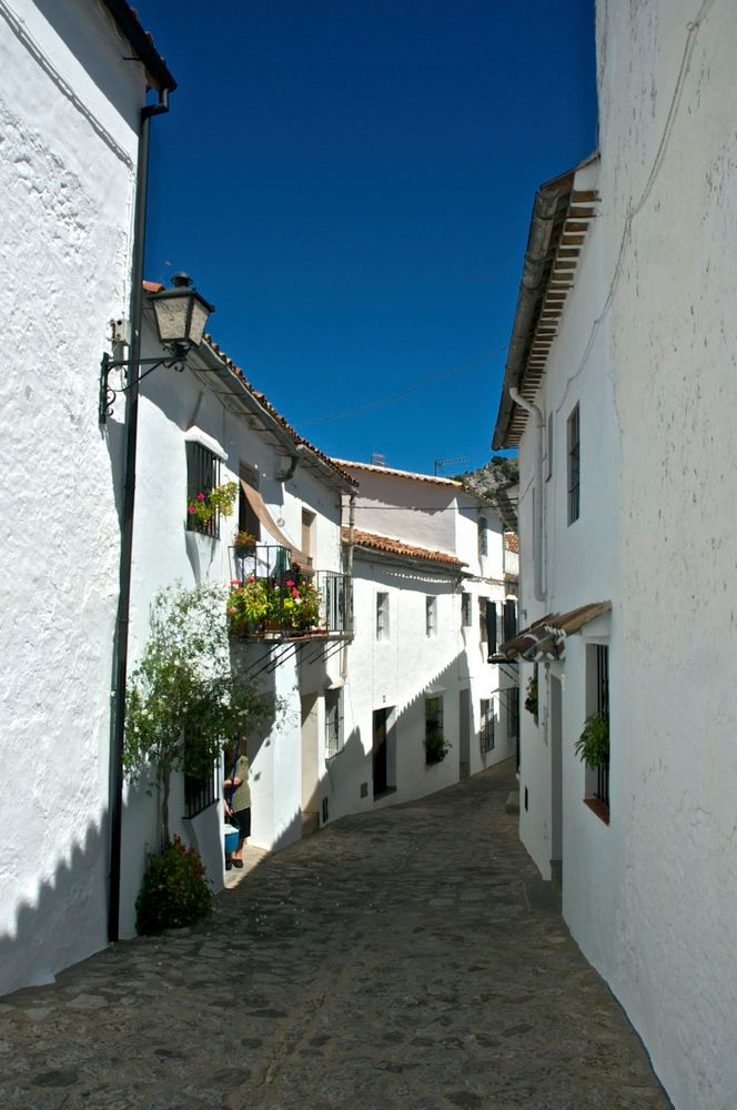 Carrers blancs d'Andalusia (2)