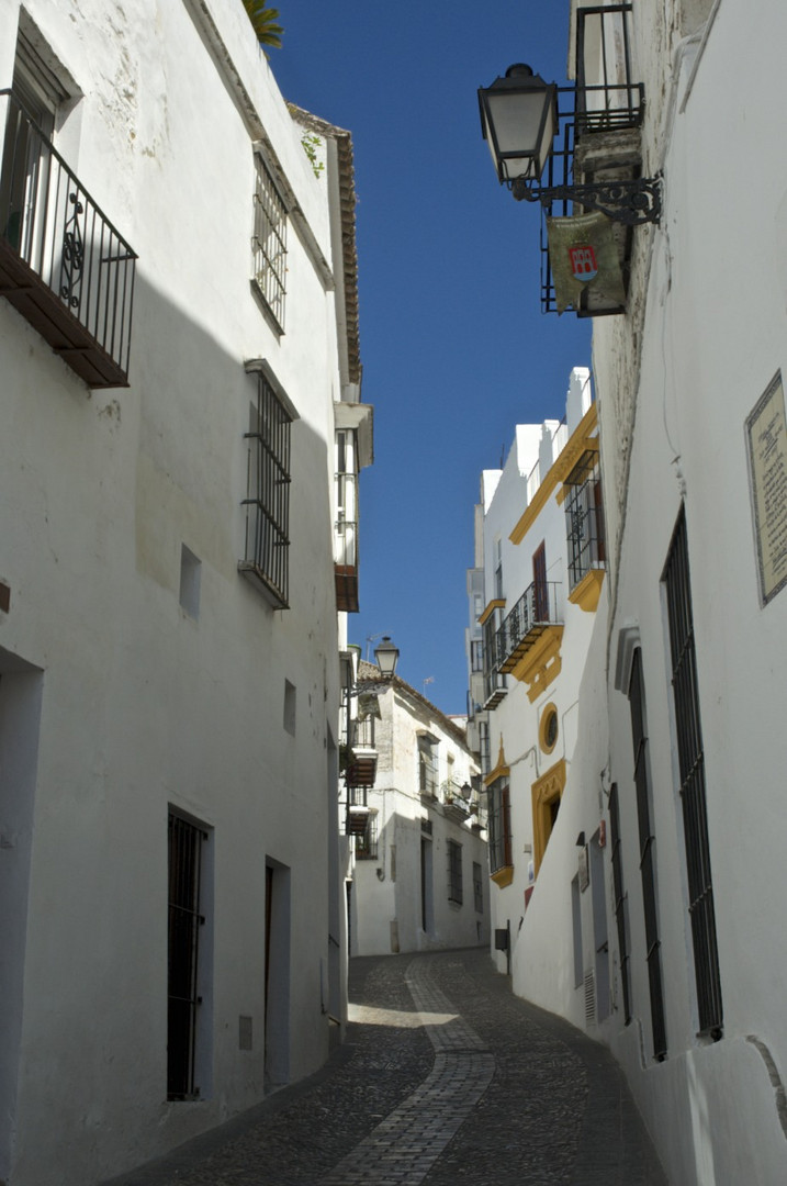 Carrers blancs d'Andalusia (4)