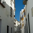 Carrers blancs d'Andalusia (4)