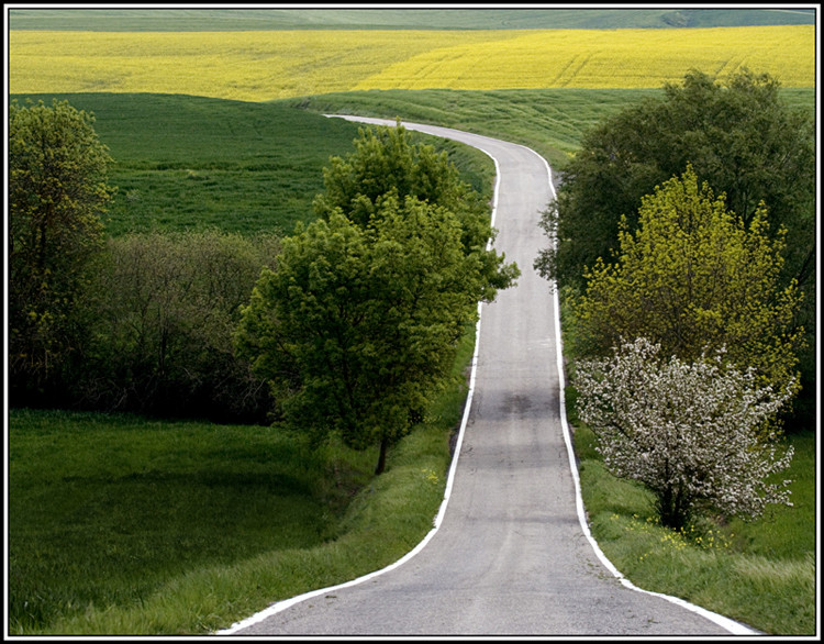 Carretera