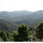 Carretera a Ronda