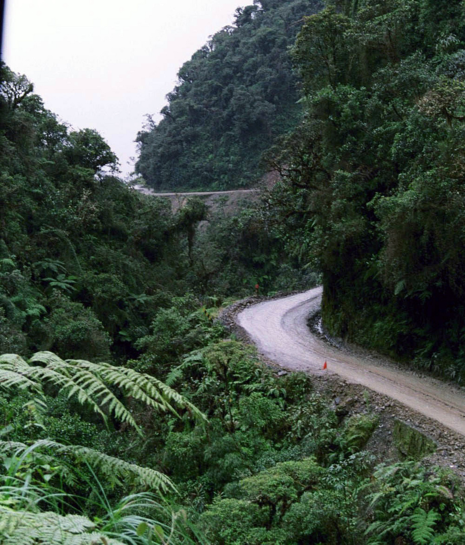 Carretera de la muerte