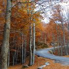 Carretera hacia el Monseny