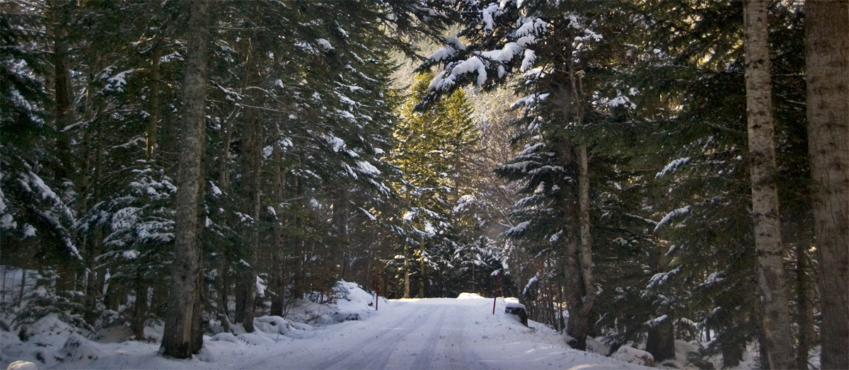 Carretera nevada