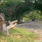 Carreteras de Colombia