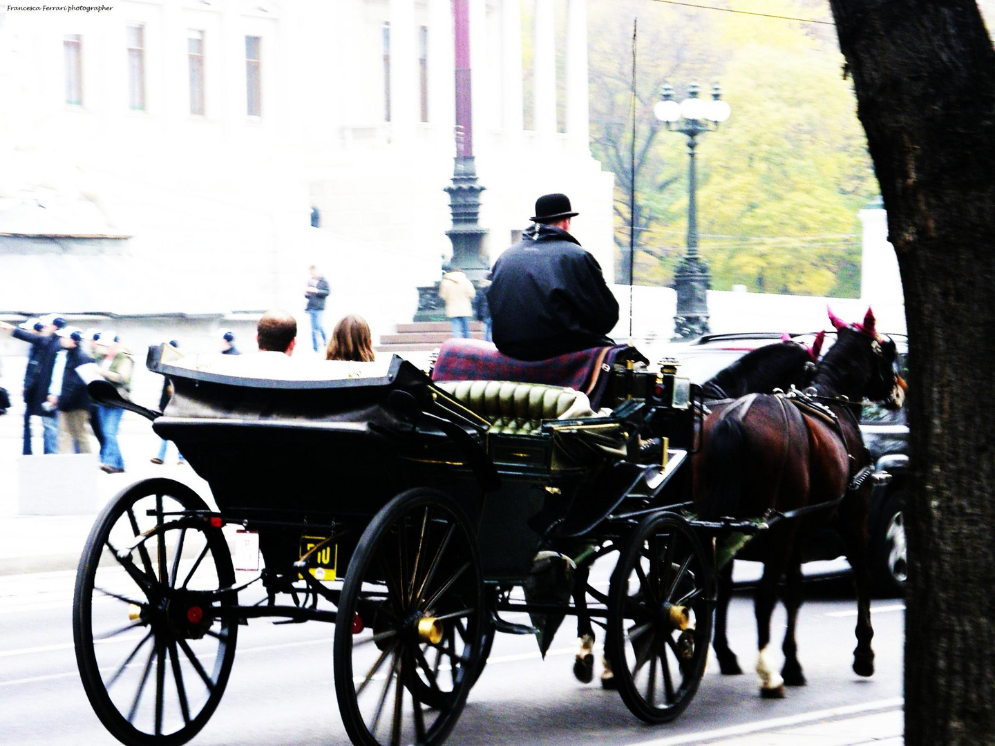 carretto a vienna