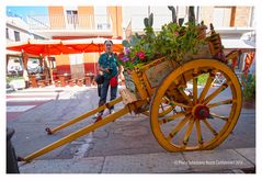 Carretto siciliano a Portopalo di Capo Passero