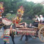 Carretto siciliano in movimento