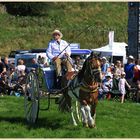 carriage at reeth show 12