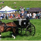 carriage at reeth show 13