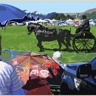 carriage at reeth show 17