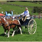 carriage at reeth show 6