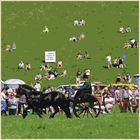 carriage at reeth show 8