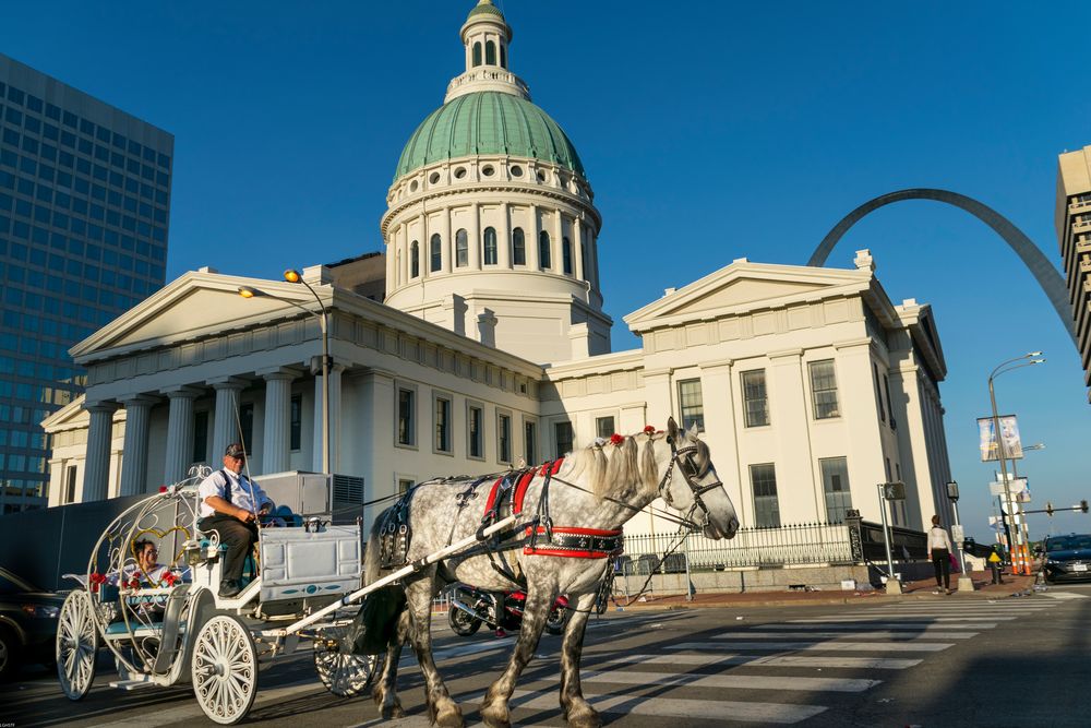 Carriage Ride