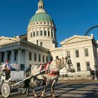 Carriage Ride