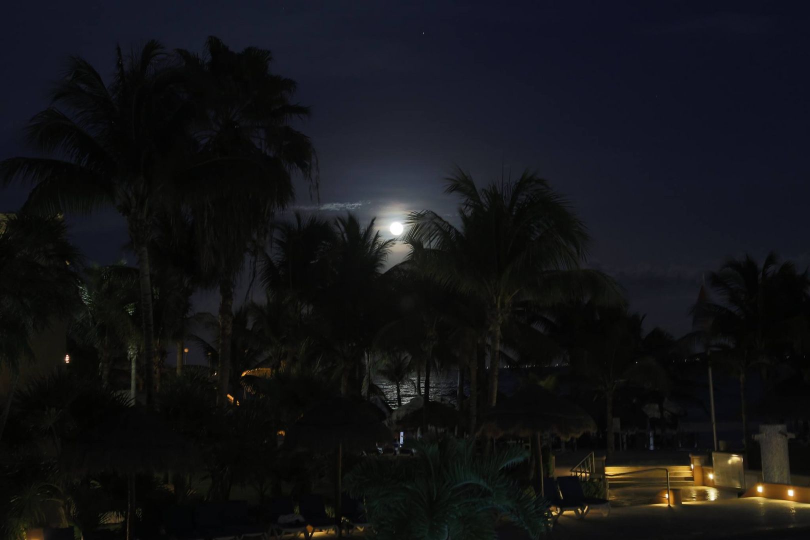 Carribean Moon