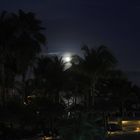Carribean Moon