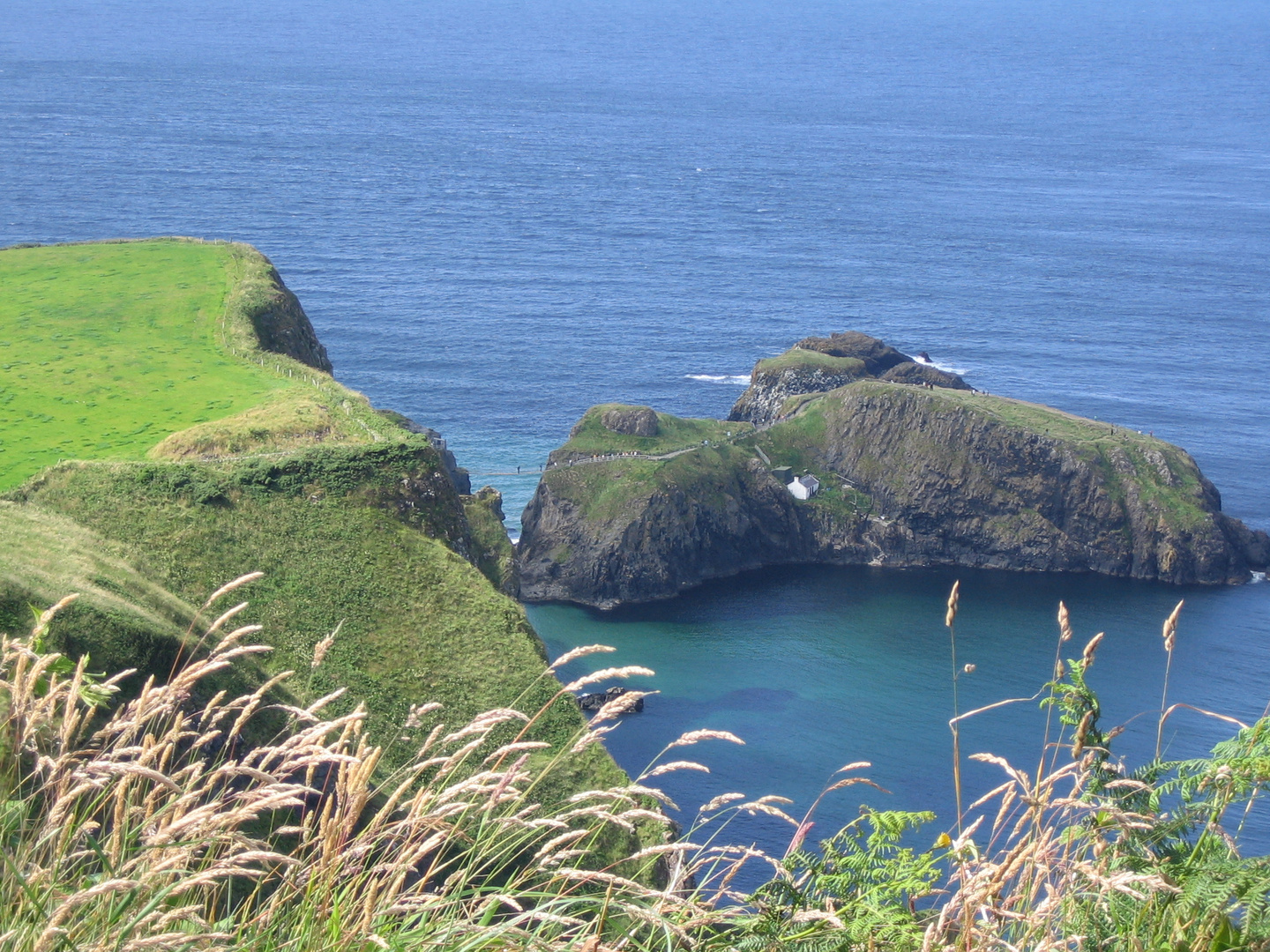 carrick a rede