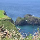 carrick a rede