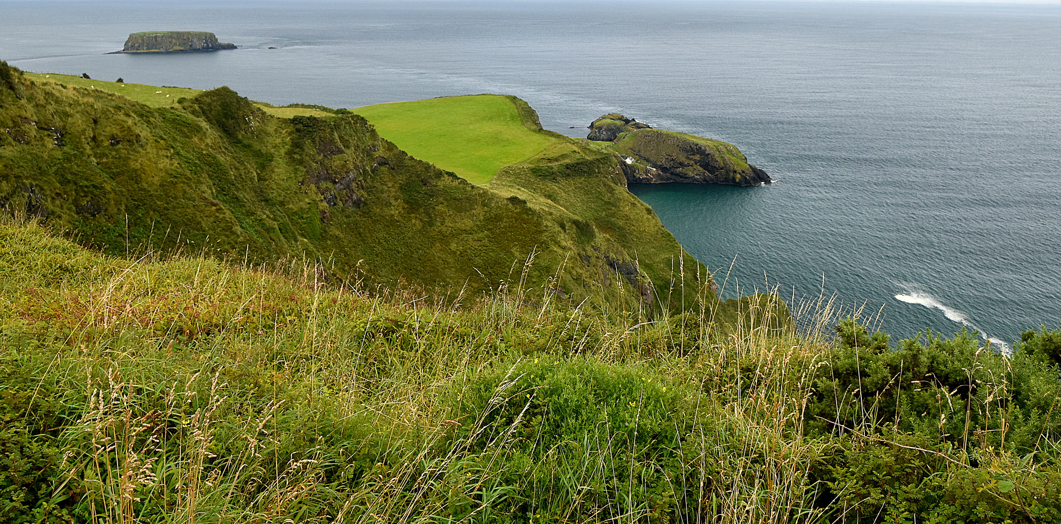 Carrick A Rede