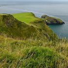 Carrick A Rede