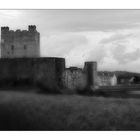 carrick castle northern ireland