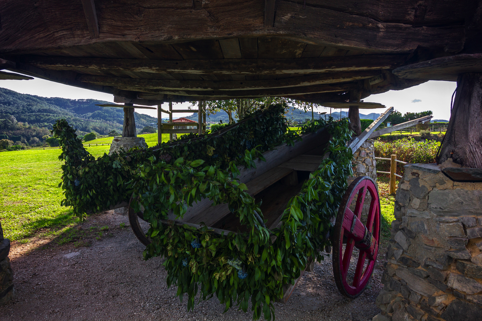 Carro del pais