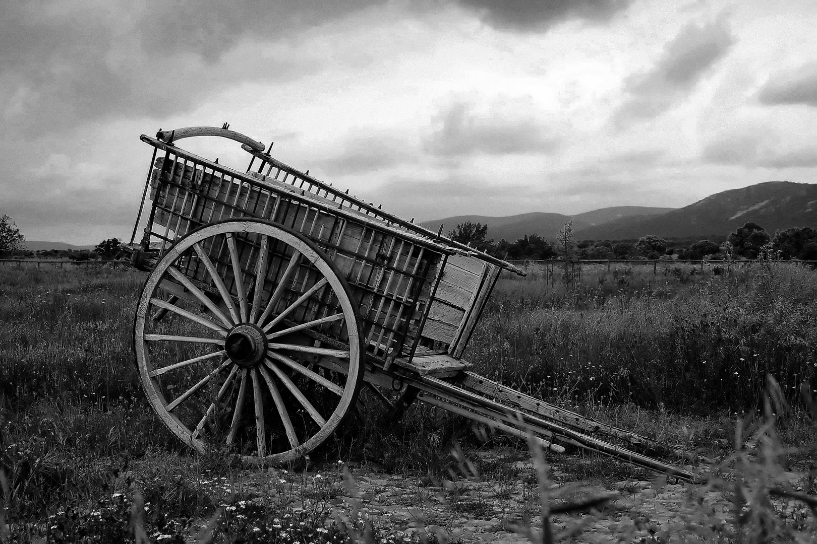 Carro en Cabañeros