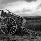 Carro en Cabañeros