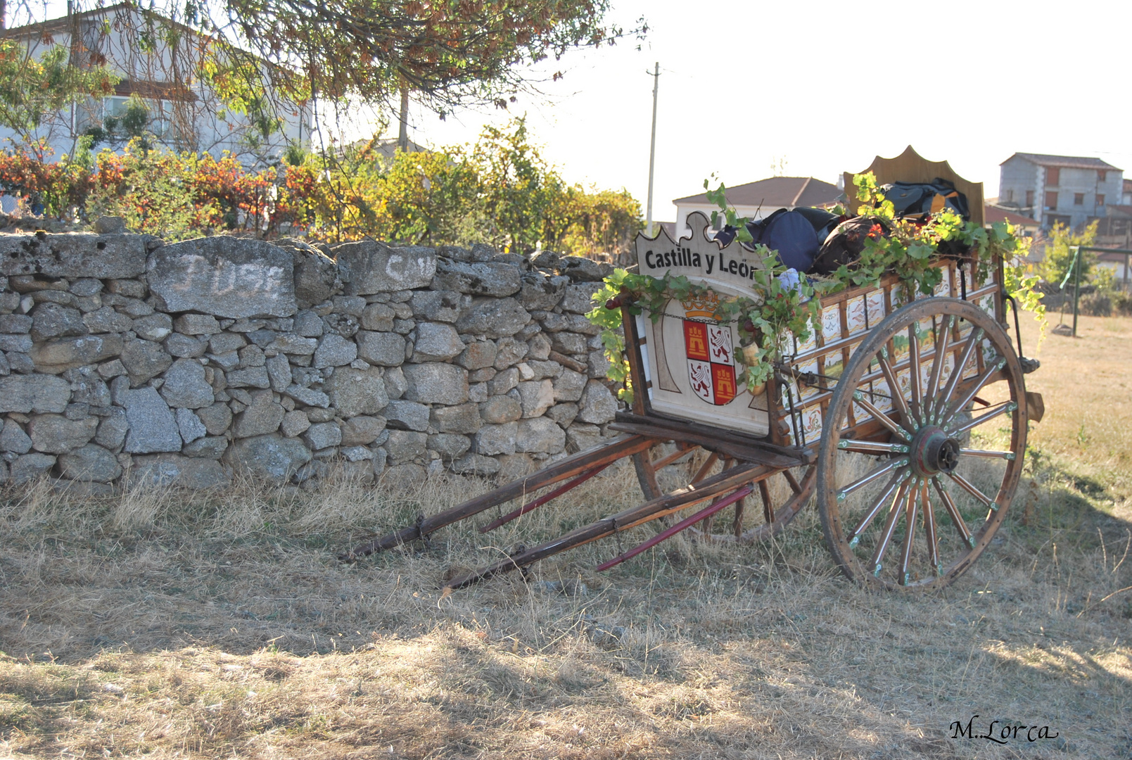 carro ( en Sanchotello ( SALAMANCA