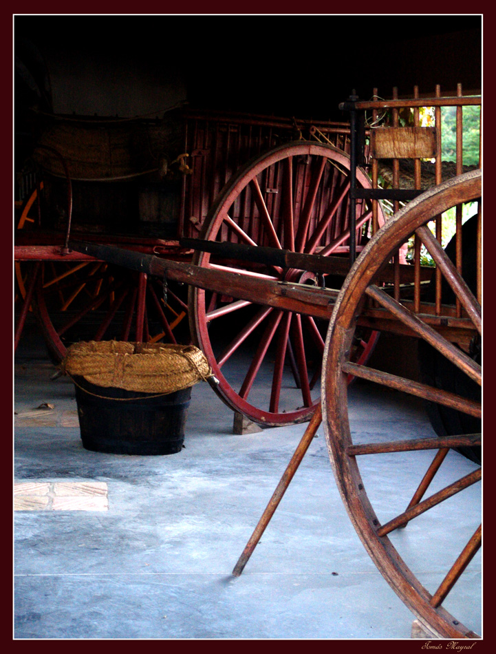 Carros de Bodegones Para Elena Codina