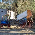 carros en la fiesta la vendimia( Sanchotello