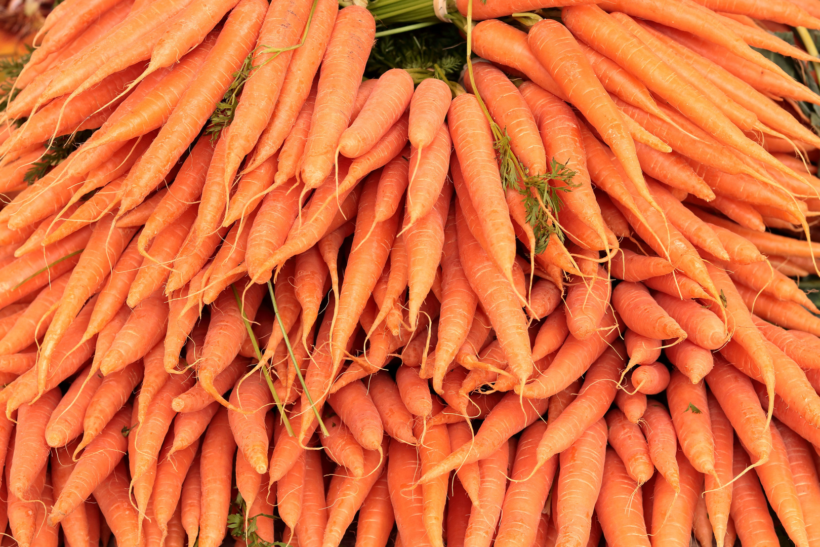 Carrots