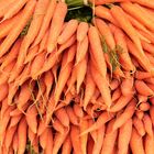 Carrots