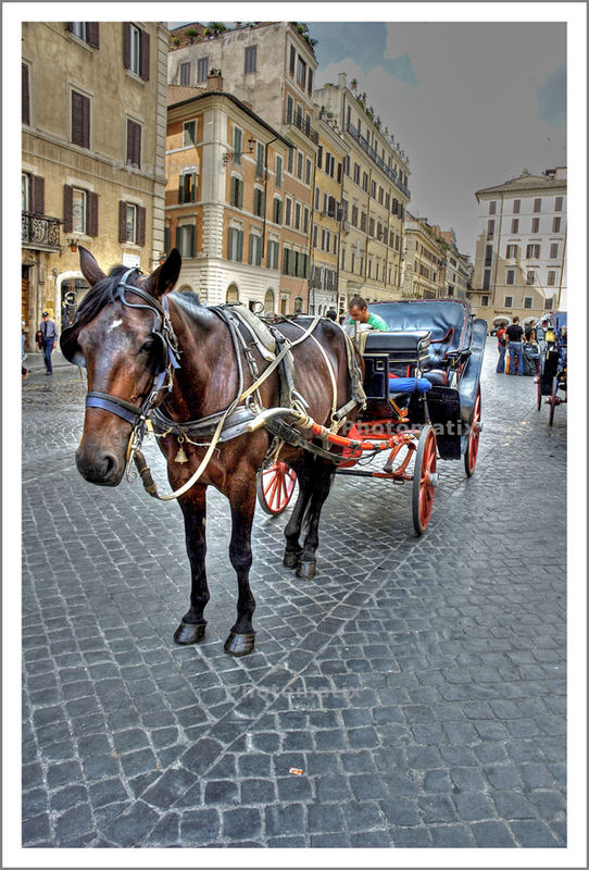 carrozza a Roma