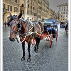 carrozza a Roma