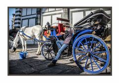 Carrozza in sosta ...