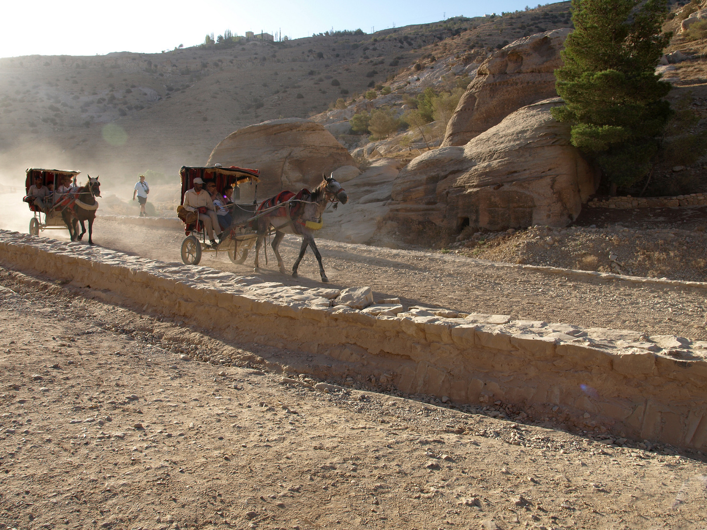 Carrozzelle a Petra