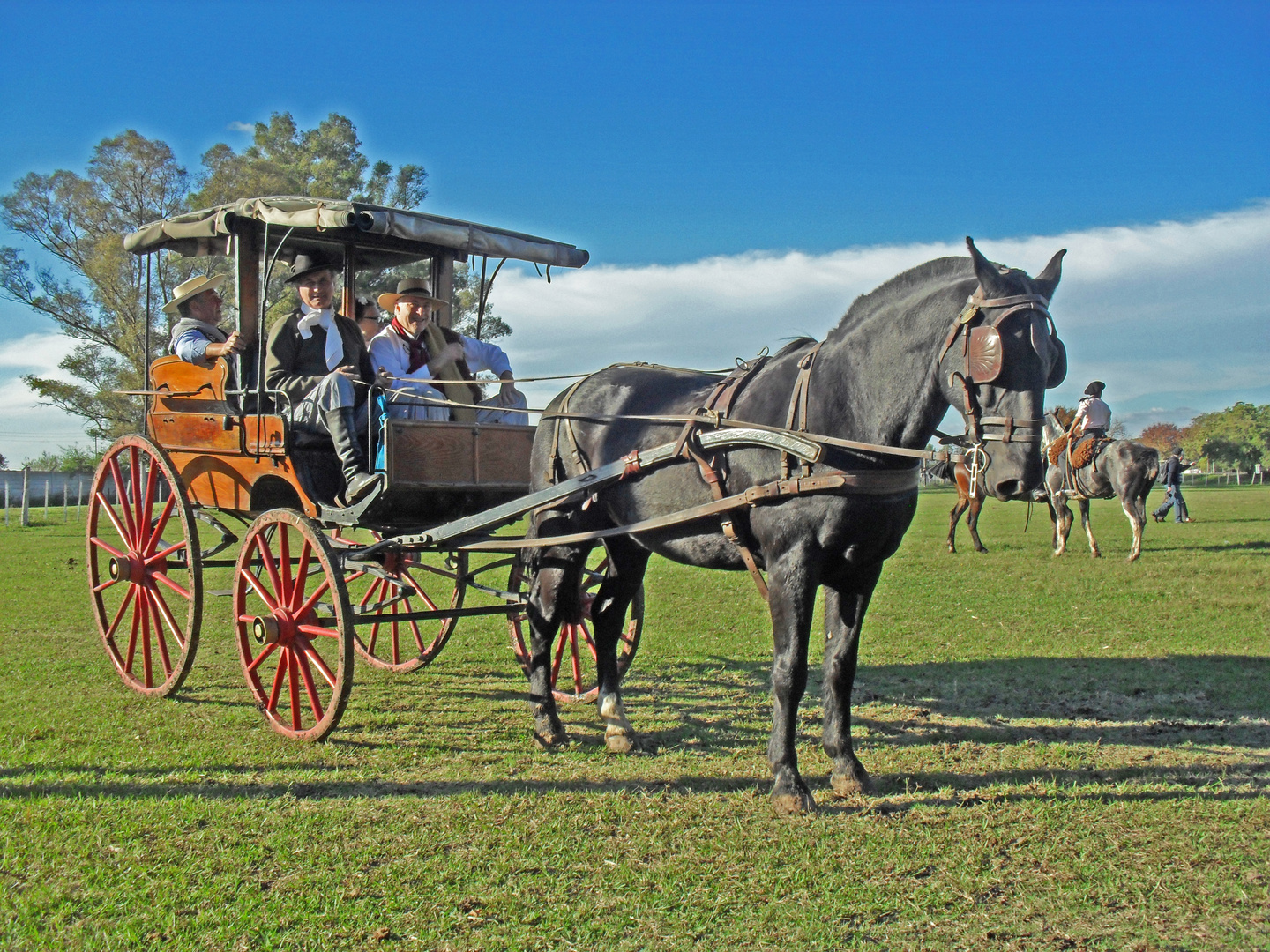 carruaje ARGENTINA