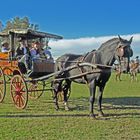 carruaje ARGENTINA