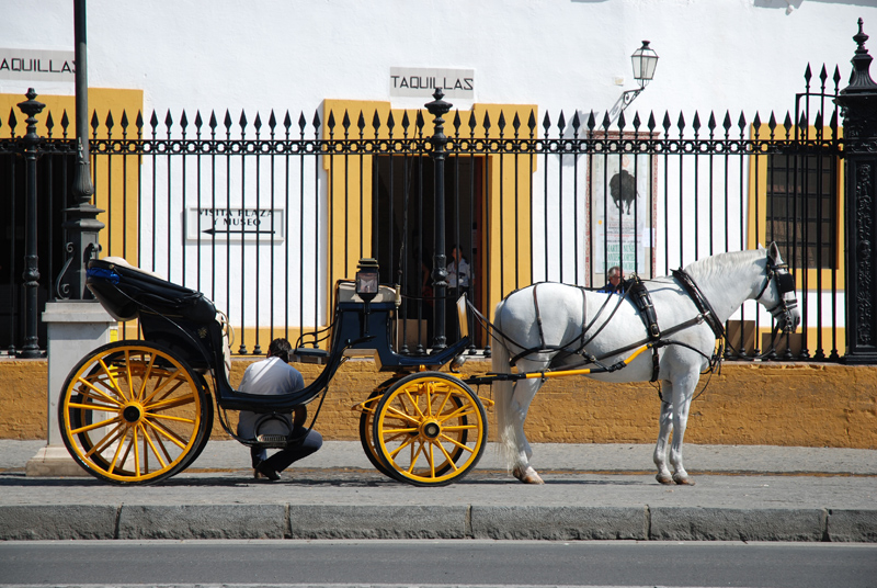 Carruaje en plaza de toros de la Maestranza, Sevilla.