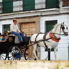 Carruaje en Ronda, Málaga.