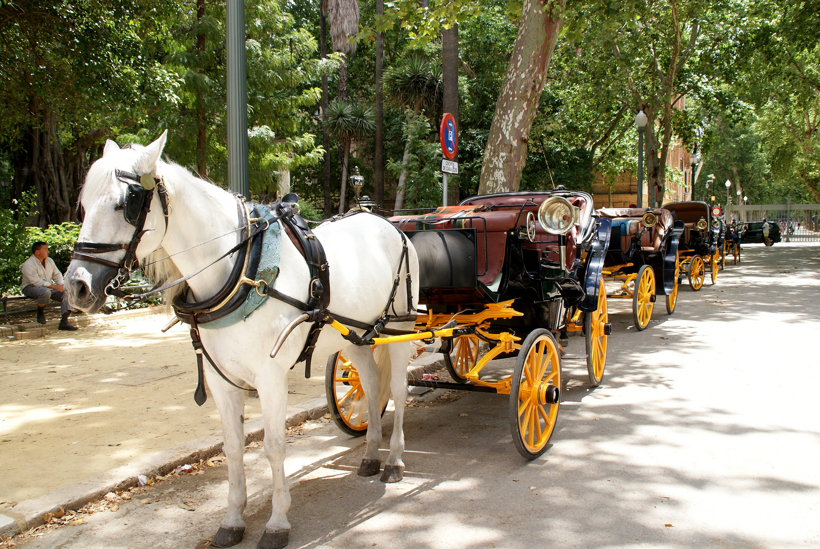 Carruaje Sevillano