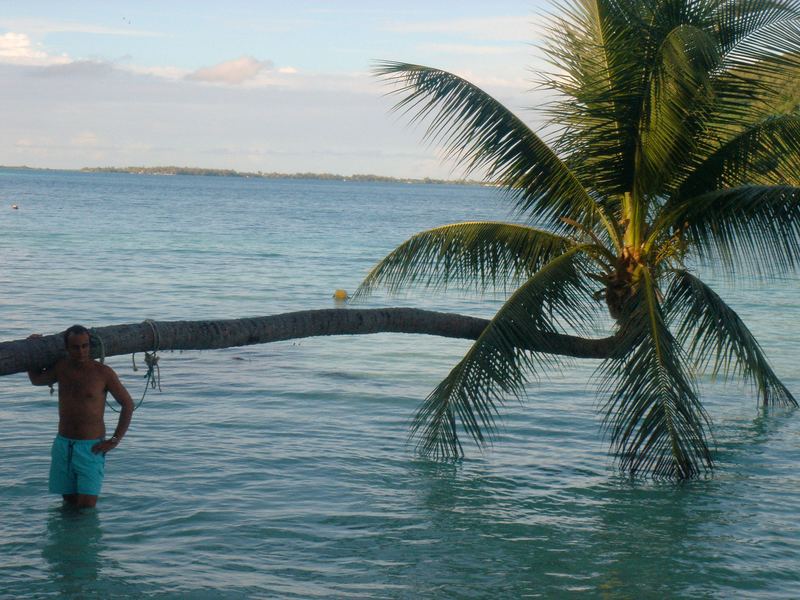 Carrying a palm