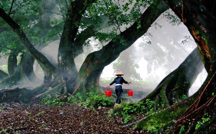 Carrying water in the Morning