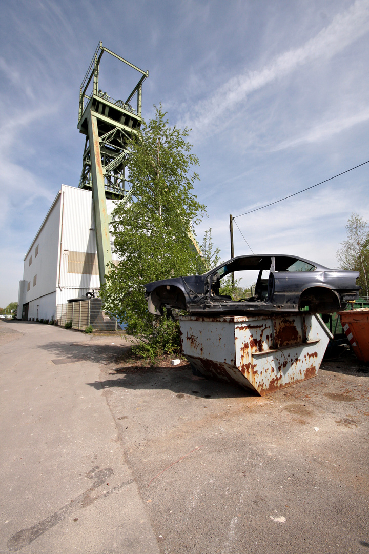 cars and trees