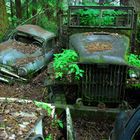 Cars in forest0012