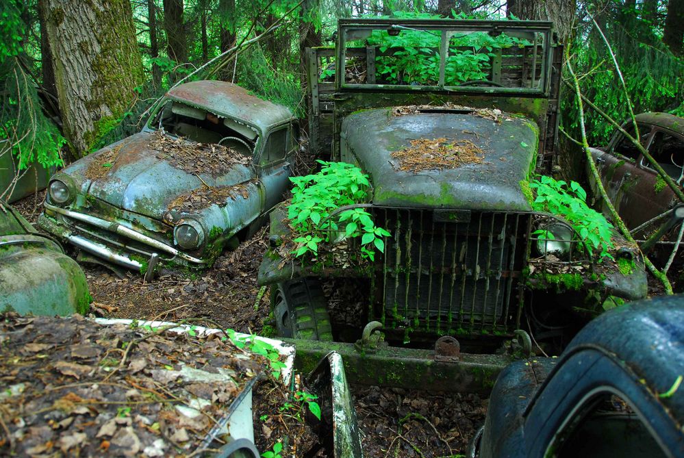 Cars in forest0012
