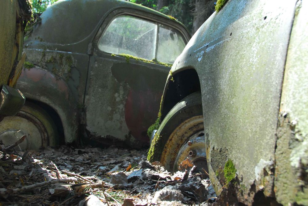 Cars in forest008